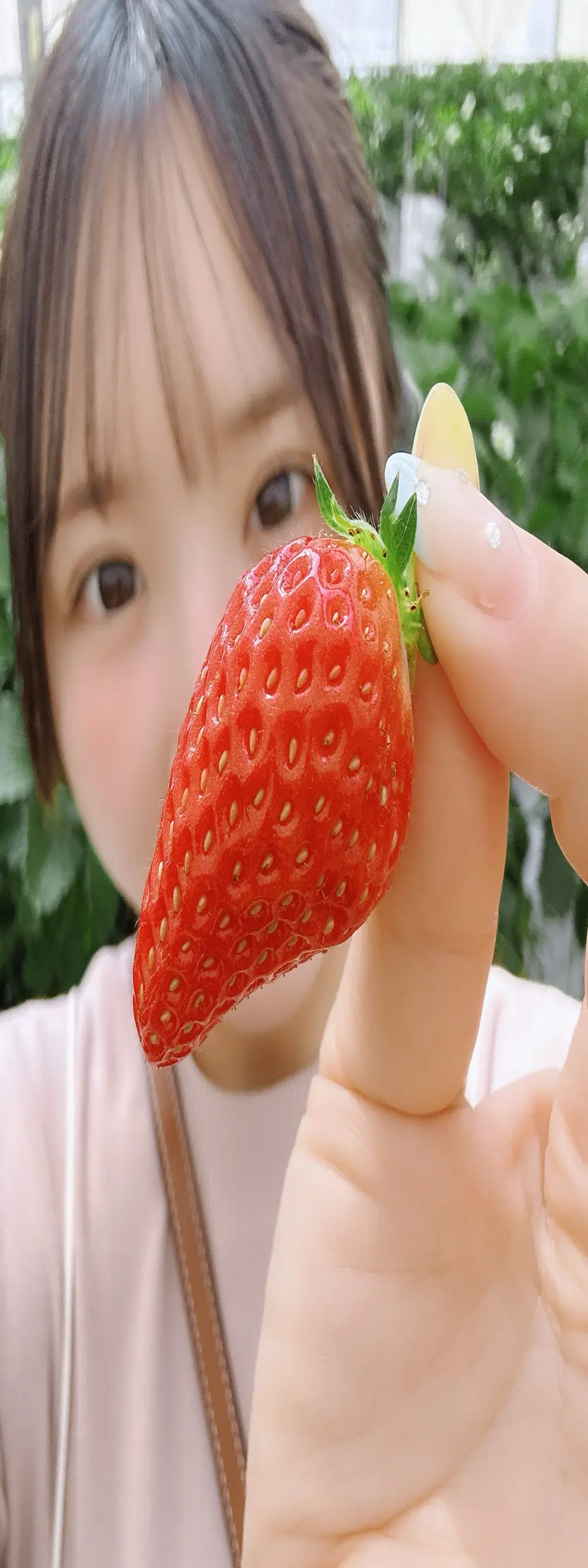 anchan_